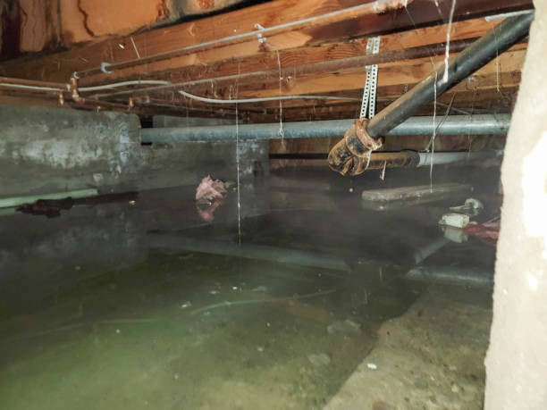Best Water damage restoration near me  in Tomah, WI