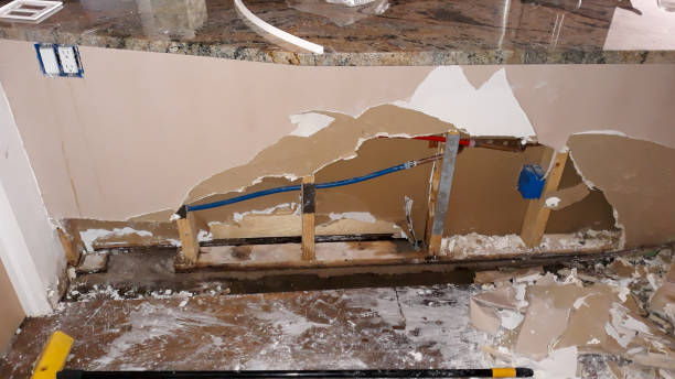 Best Residential water damage restoration  in Tomah, WI