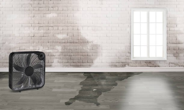 Best Commercial water damage restoration  in Tomah, WI