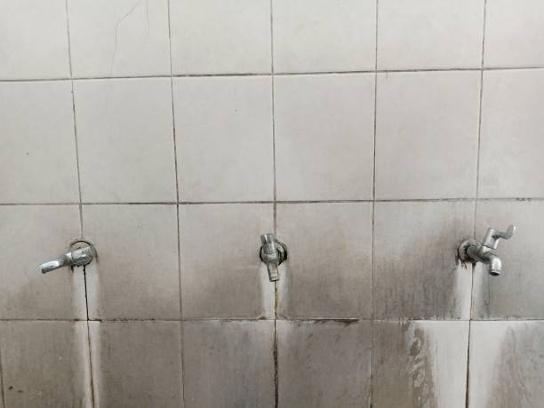 Best 24-hour water damage restoration  in Tomah, WI