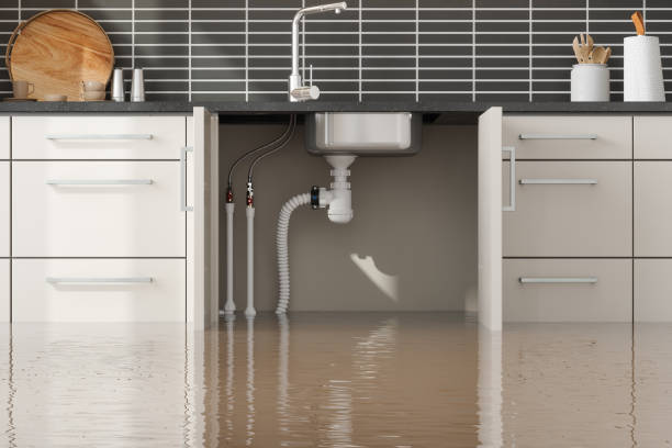 Best Water damage restoration experts  in Tomah, WI