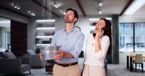 Best Basement water damage restoration  in Tomah, WI